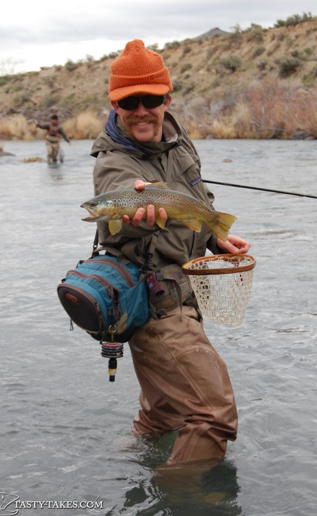 Owyhee Brown with Handlebar