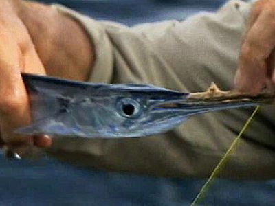 Kite Fishing with Jeremy Wade