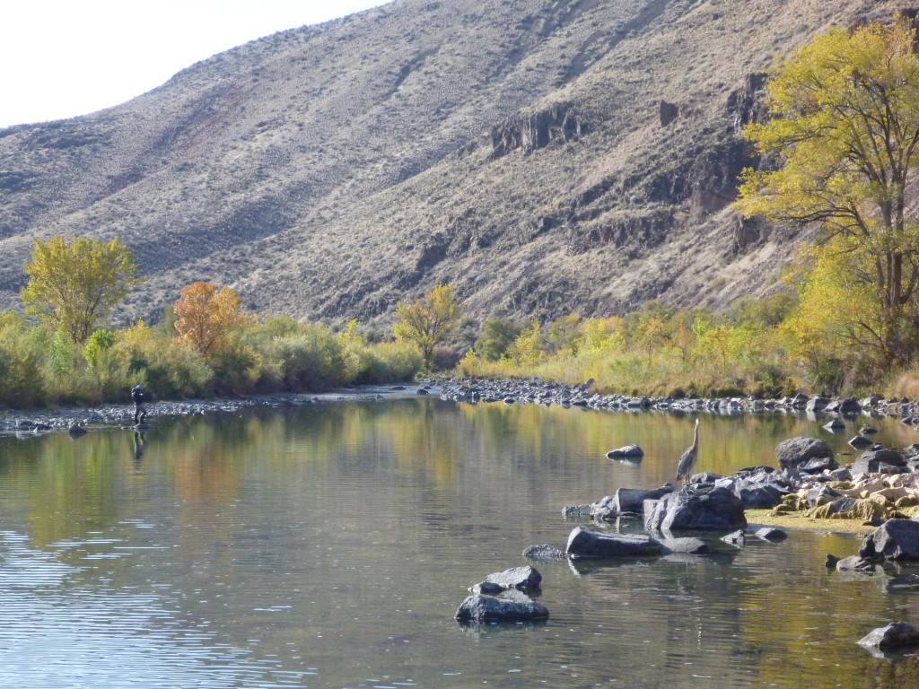 The Owyhee River 