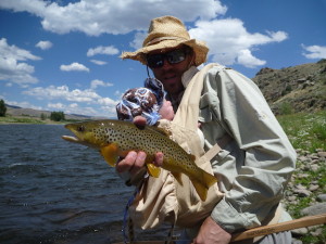 Gunnison Brown