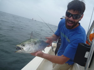 Dale Albie 2