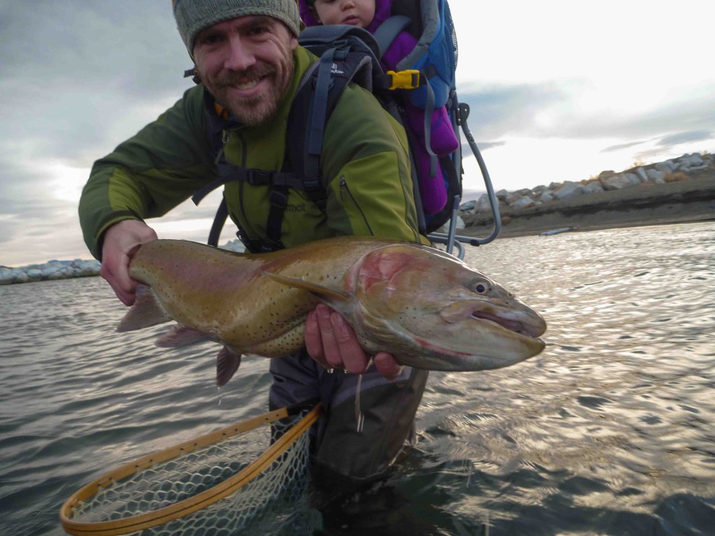 Hey, there are fish in this lake!