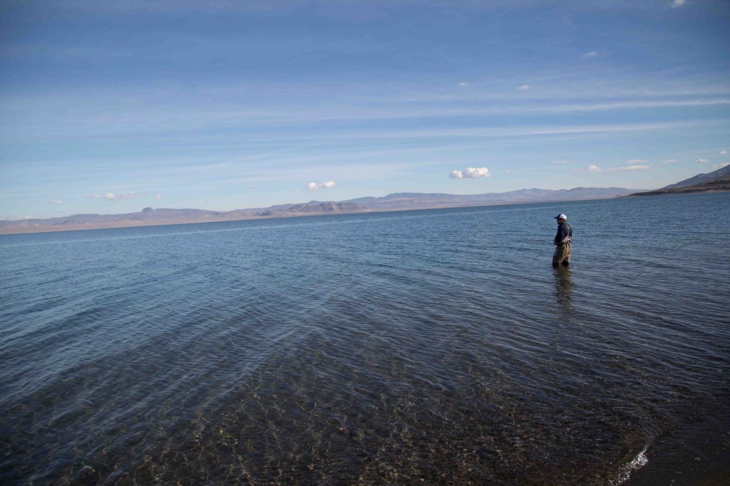 Look at the size of that lake - how the heck do we find fish in there?