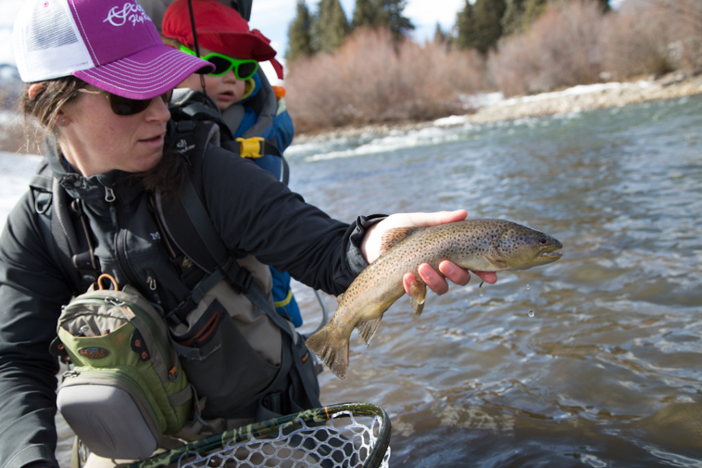 No Pinner, just brown trout! (and some babiators!)