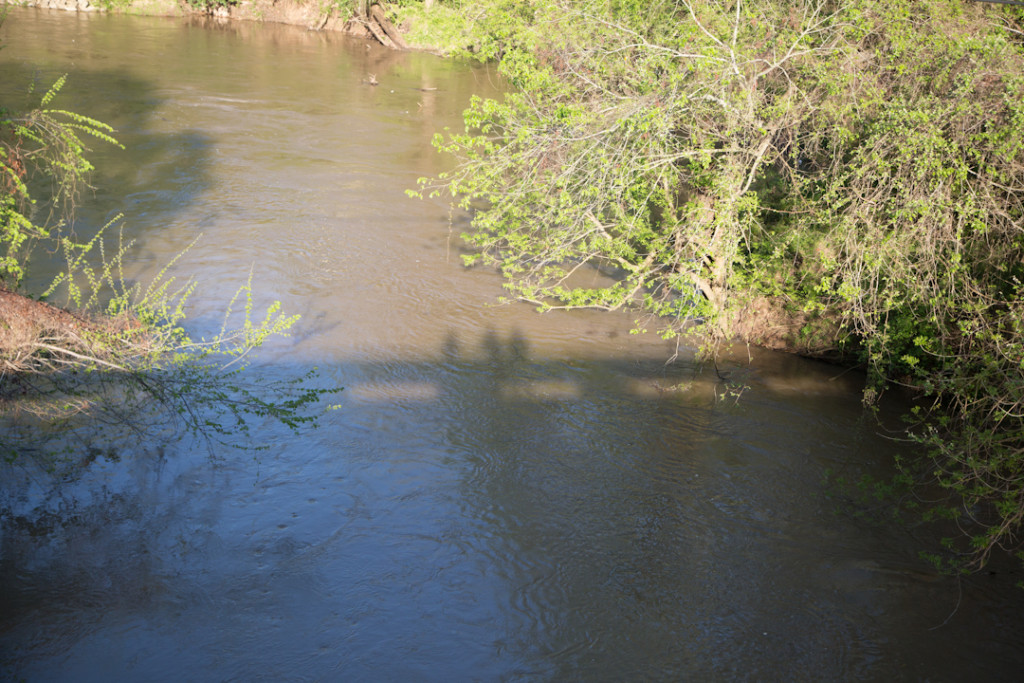 Where's the beach? Our secret spot for alligator gar was blown out. Boo.